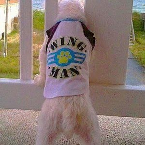 ❣️HP❣️ Doggie "Wing Man" T-shirt. Size: XS